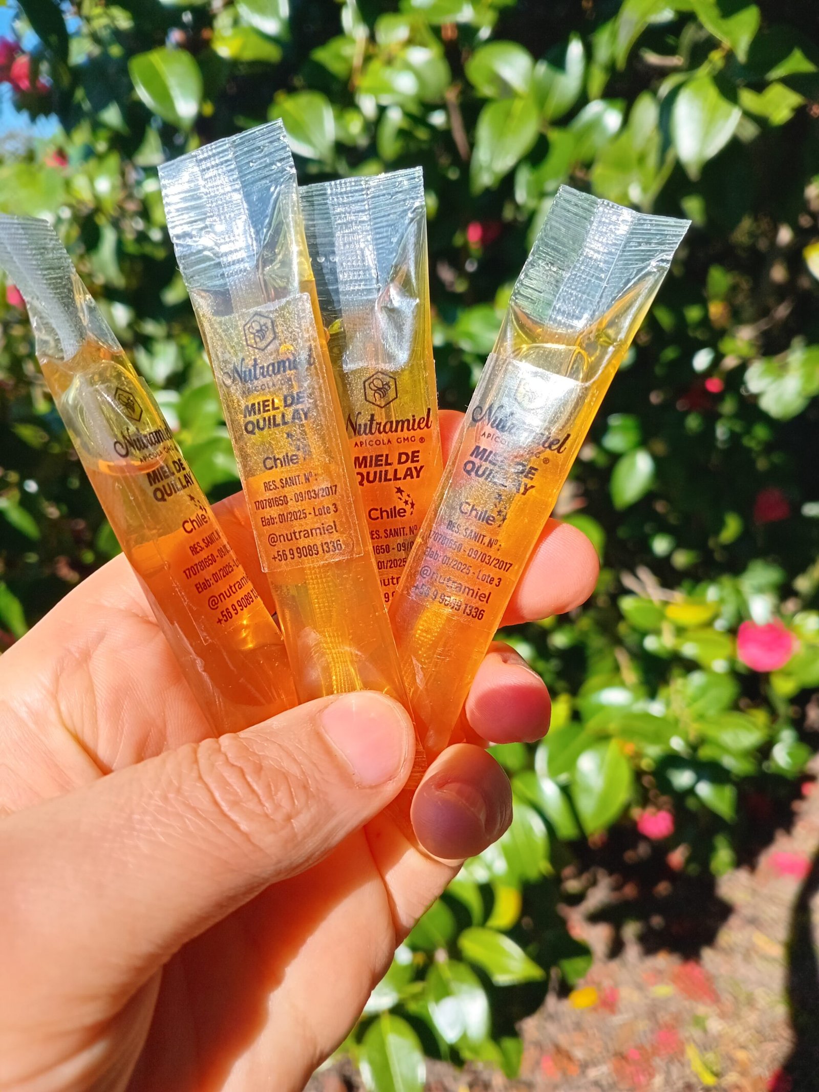 Sachet de miel 15 Grs