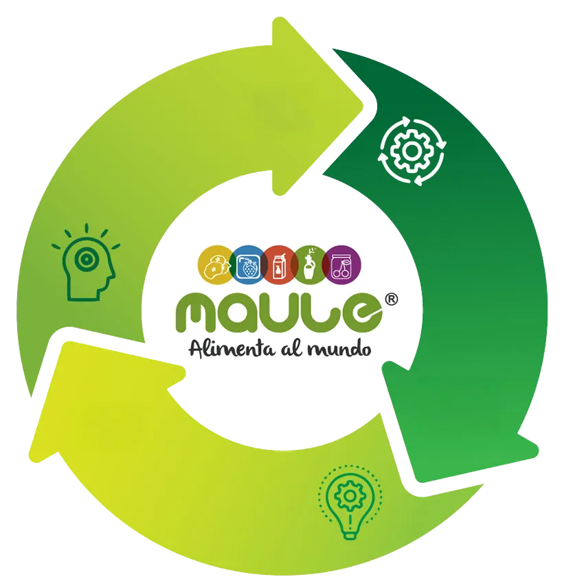 Índice de circularidad